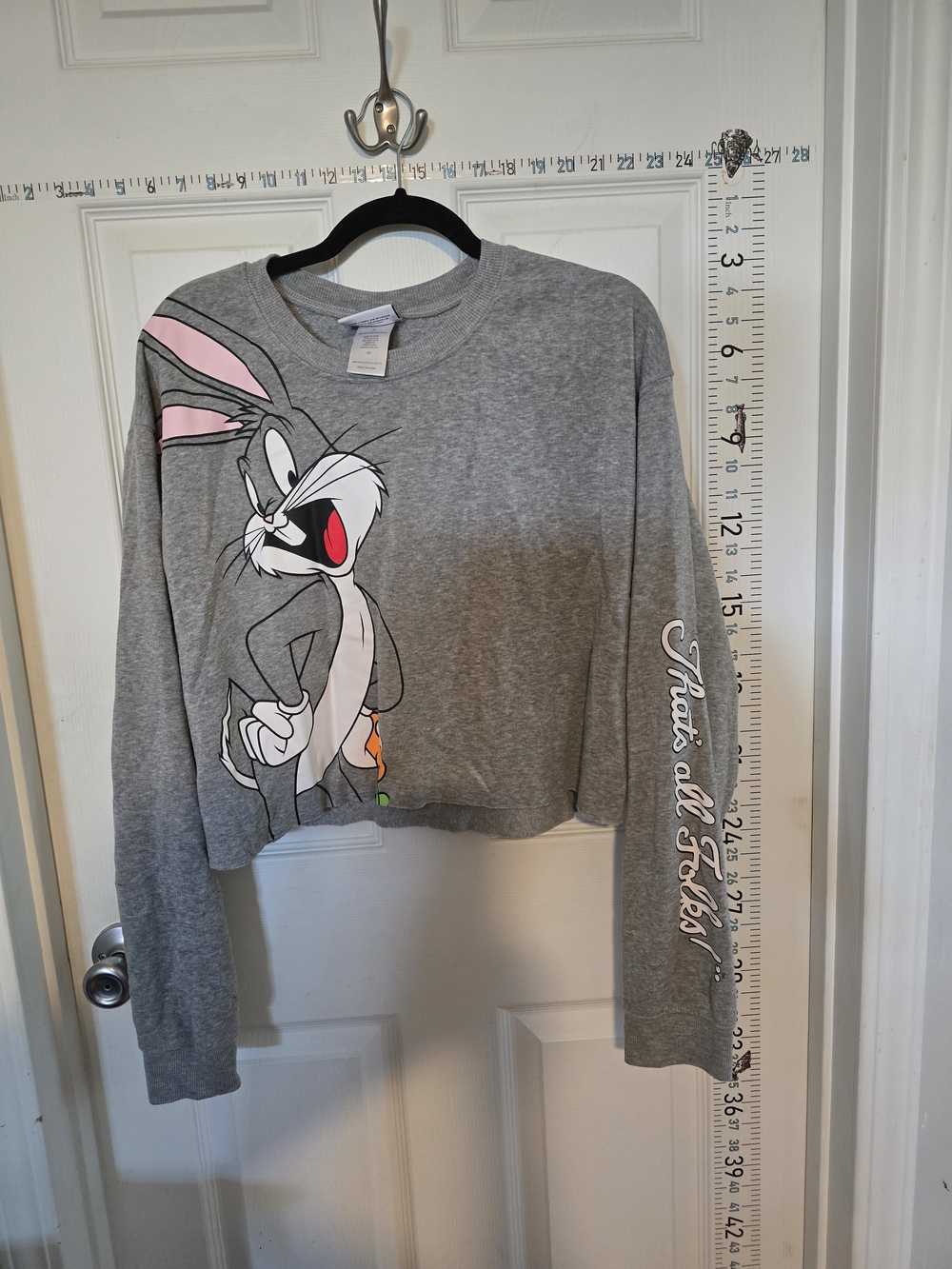 Warner Bros. Looney Tunes Gray Sweatshirt with Sylvester Graphic